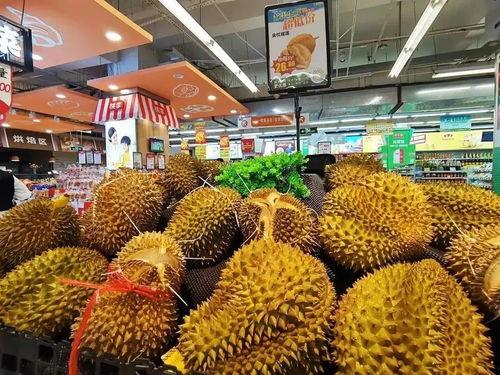 嘉兴哈密瓜批发市场今日价格,品质佳品，价格亲民