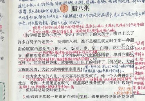 明星网红进教材真的好吗,利弊权衡与教育改革探讨
