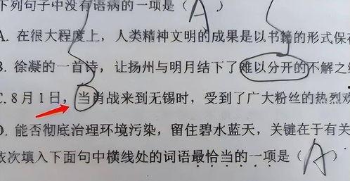明星网红进教材真的好吗,利弊权衡与教育改革探讨