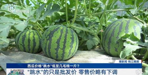 今日吃瓜价格最新行情,新鲜吃瓜价格一览