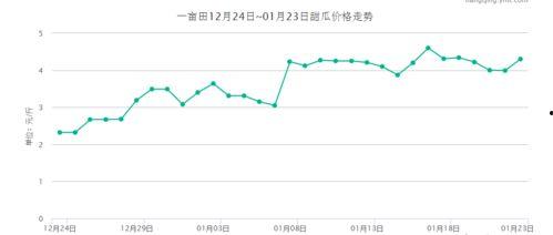 今日金红宝瓜价格走势,今日市场行情解析