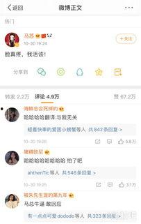 今日吃瓜在线播放网,揭秘娱乐圈最新热点，带你畅游八卦海洋
