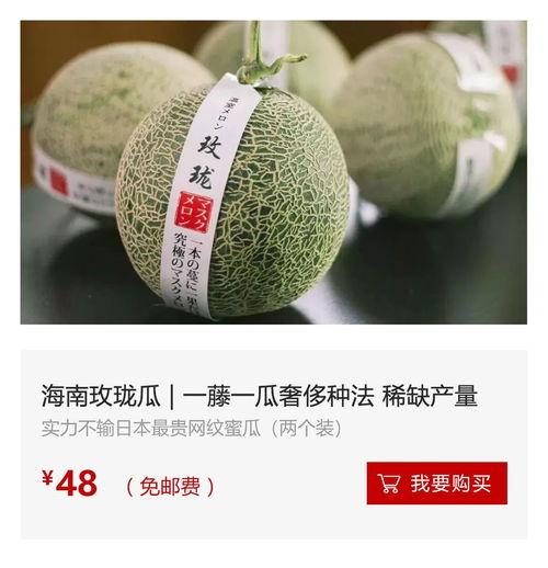 海南二瓜今日价格,新鲜采摘，实惠之选