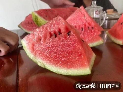 海南二瓜今日价格,新鲜采摘，实惠之选