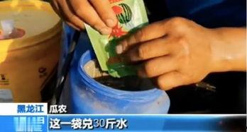 今日吃瓜吃瓜新闻报道最新,明星恋情曝光，幕后真相令人震惊！