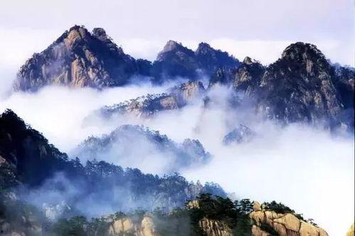 黄山明星网红是谁呀图片,探寻黄山新晋网红风采