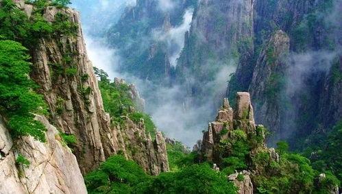 黄山明星网红是谁呀图片,探寻黄山新晋网红风采