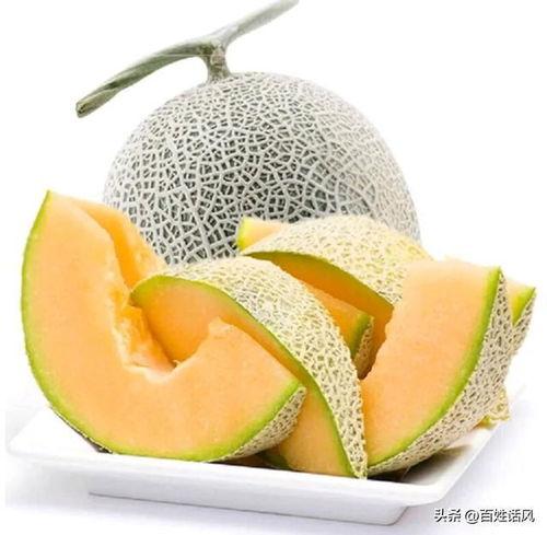 蒙阳水果批发市场今日价格哈密瓜,今日哈密瓜价格行情一览