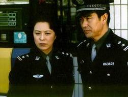 任长霞电视剧全集,正义之光，守护者传奇