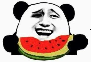 今日吃瓜群众吃瓜次数,吃瓜群众瓜量统计大揭秘