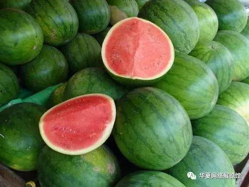 滨海美都无籽瓜今日价格,价格行情一览”