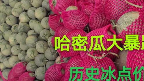 广东今日哈密瓜多少钱一斤,一斤多少钱？”