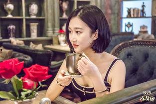 哪些明星网红为衡阳打卡,明星效应下的城市魅力新篇章