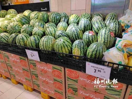 今日嫩瓜价格行情最新,今日价格走势解析
