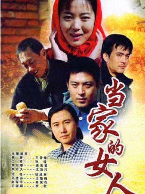 当家的女人电视剧,谱写新时代女性奋斗传奇