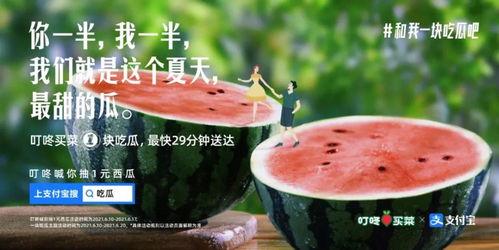 今日份吃瓜文案,盘点娱乐圈新鲜“瓜事”
