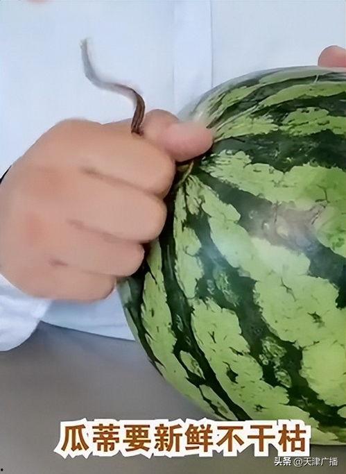 今日的瓜,揭秘娱乐圈最新热点事件