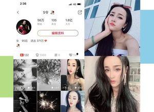 明星网红小达人视频播放,揭秘热门内容背后的魅力
