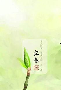 今日立春吃瓜视频下载,跟随视频一起探索传统美食的魅力