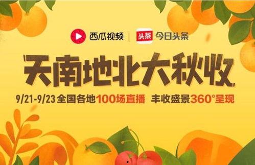 湛江今日头条卖瓜