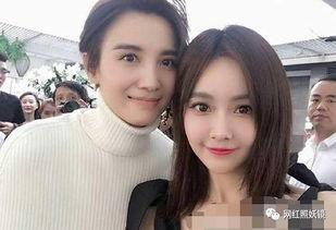 各大明星网红道歉,反思与成长之路