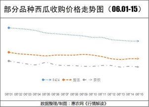 今日兰瓜价格行情走势最新,今日行情走势解析