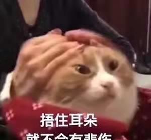 明星网红偷税案件最新,最新案件深度解析