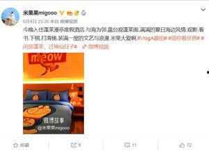 明星网红打卡店叫什么,揭秘明星网红热爱的神秘店铺”