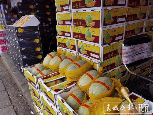 海南摘哈密瓜今日价格,今日价格行情一览