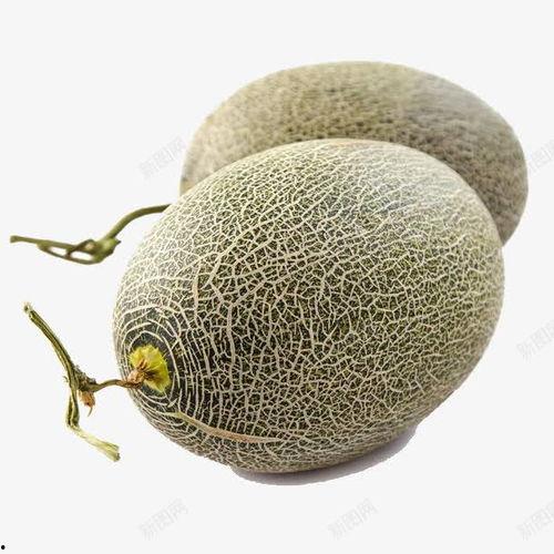 海南摘哈密瓜今日价格,今日价格行情一览
