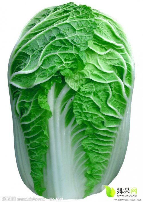 莘县燕店今日瓜价,新鲜瓜果价格一览”