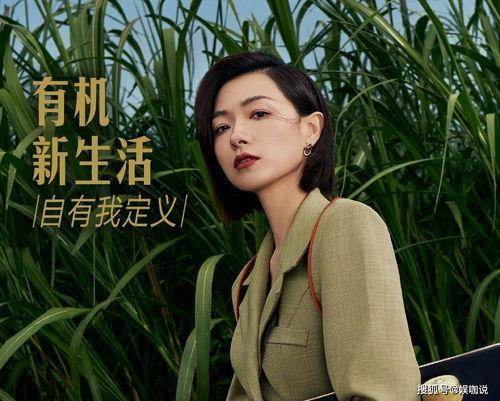 不关注明星网红的话,探寻人间真情