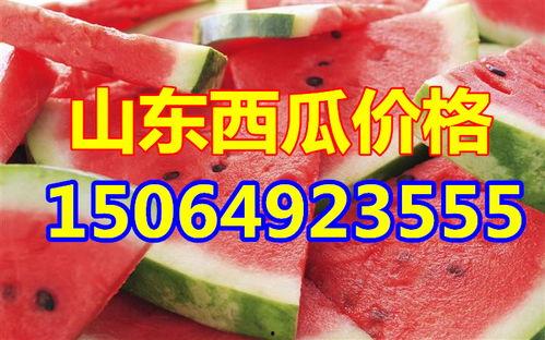 今日瓜价格表,新鲜上市，价格波动解析
