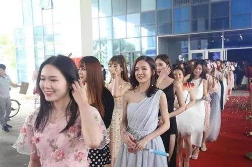 明星网红主播孵化基地,明星网红主播孵化基地全解析