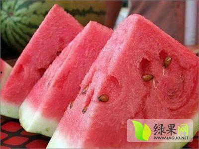 甘肃石头瓜产地今日行情,价格波动与市场动态