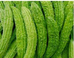 万邦牛腿瓜今日价格,市场行情一览