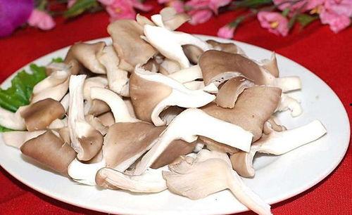 17c吃瓜黑料蘑菇视频在线