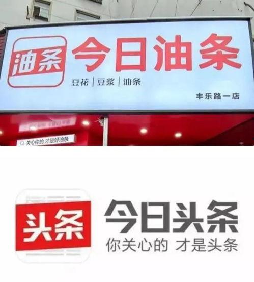 今日头条老板卖瓜,揭秘自媒体时代的“瓜农”传奇