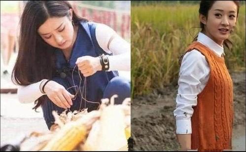 明星网红回到老家视频,探寻家乡变迁与情感共鸣