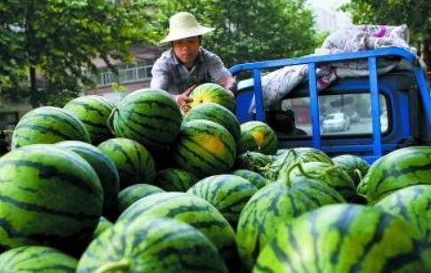 新鲜热瓜今日热瓜,今日热瓜盘点，热点事件一网打尽