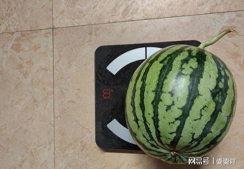 小占瓜今日价格,市场动态一览无余”