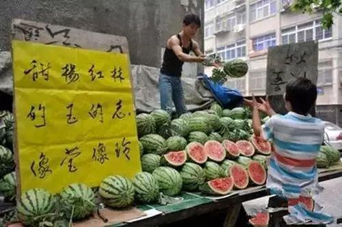 今日瓜摊今犹在,今犹在，岁月如歌