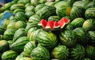 今日瓜摊今犹在,今犹在，岁月如歌