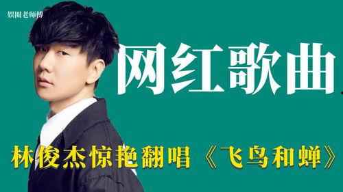 明星网红改编歌曲大全