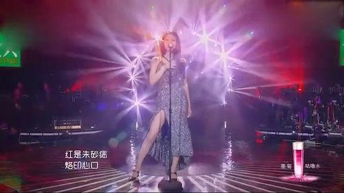 明星网红改编歌曲大全