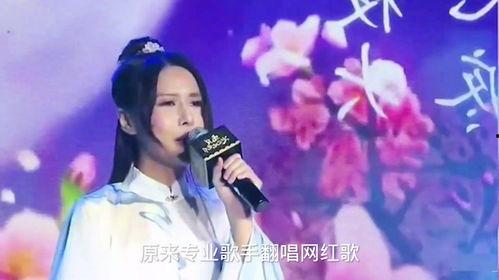 明星网红改编歌曲大全