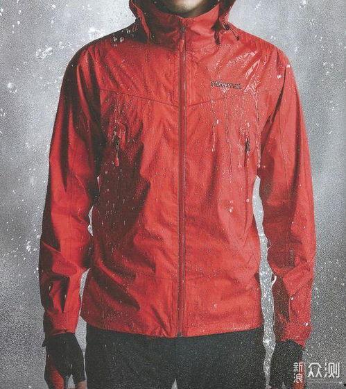 明星网红冲锋衣图片