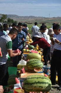 兴仁西沙瓜今日行情,品质优良，价格稳定，抢购热潮持续升温”