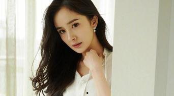 顶流明星网红大全图片,颜值与才华并存的璀璨星河