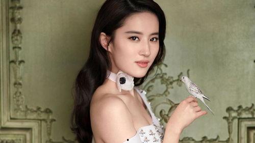 顶流明星网红大全图片,颜值与才华并存的璀璨星河